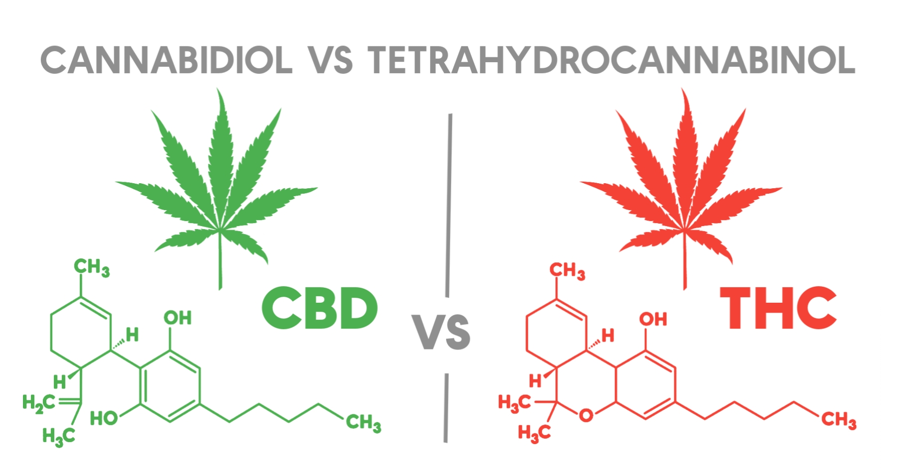 Unterschied Zwischen THC Und CBD